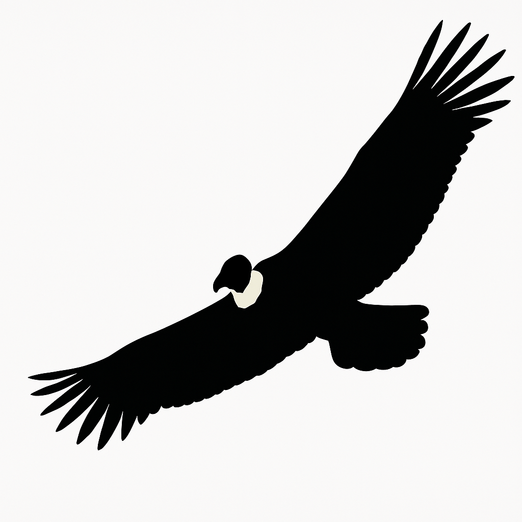 Marca de Estudiaviacion